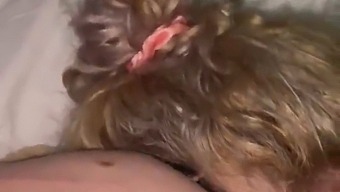 Scuzele Mele, Draga Mea. Da-Mi Voie Sa Te Satisfac Cu Gura Pe Barbatia Ta